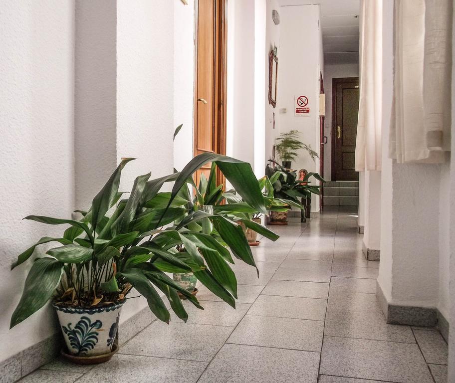 Pension Ciudad Navarro Ramos غرناطة المظهر الخارجي الصورة